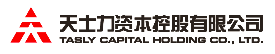 MG电子资本控股有限公司